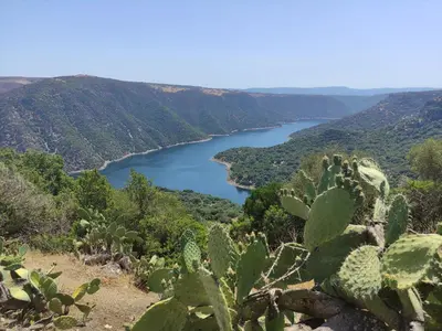 Paesaggio naturale nelle vicinanze della casa vacanze
