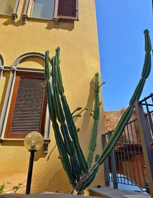 Planimetria di EJA DOMUS - Casa Vacanza Cagliari