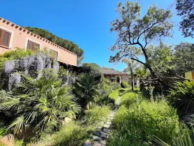 Giardino di La Fattoria Delle Tartarughe