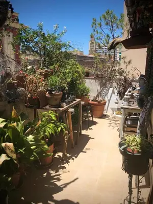 Giardino di B&B Casa Devoto Cagliari