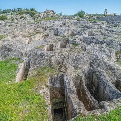 Punici
