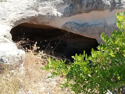 Paesaggio naturale nelle vicinanze dell'appartamento