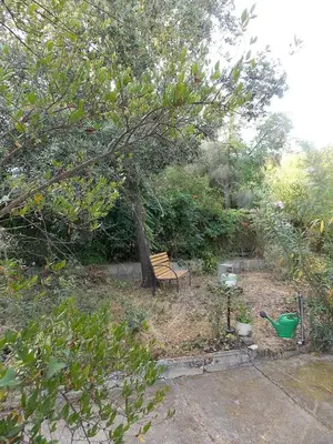Giardino di B&B Sette Fratelli