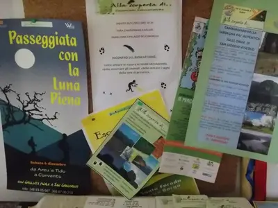 Planimetria di B&B Sette Fratelli