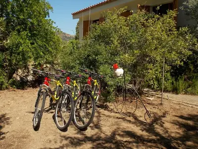 Attività di ciclismo presso il bed & breakfast o nelle vicinanze