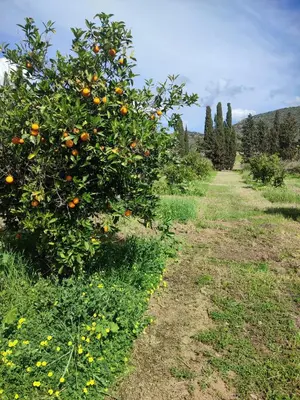 Paesaggio naturale nelle vicinanze della casa vacanze