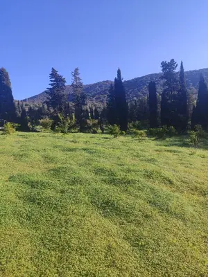 Paesaggio naturale nelle vicinanze della casa vacanze