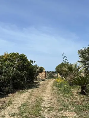 Paesaggio naturale nelle vicinanze della villa