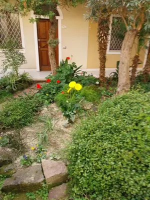 Giardino di Borgo nuovo
