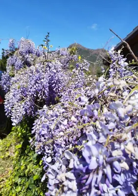 Paesaggio naturale nelle vicinanze della casa vacanze