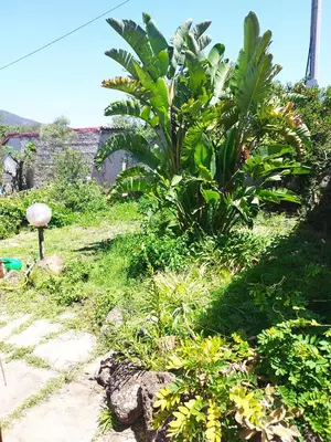Giardino di Il GLICINE