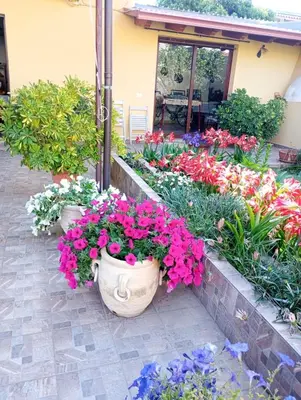 Giardino di DA BARBARINA Casa Vacanze sud Sardegna