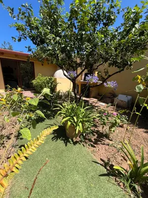 Giardino di DA BARBARINA Casa Vacanze sud Sardegna