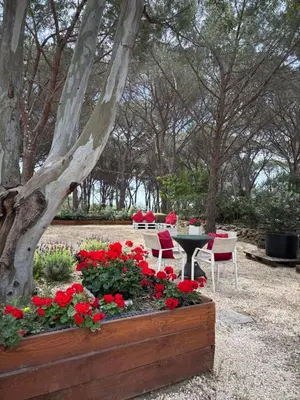 Giardino di Camping Village Flumendosa