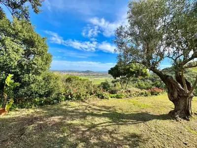 Paesaggio naturale nelle vicinanze dell'appartamento