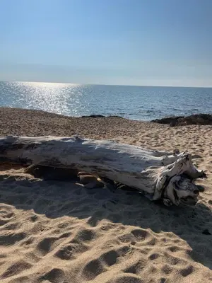 Paesaggio naturale nelle vicinanze della casa vacanze