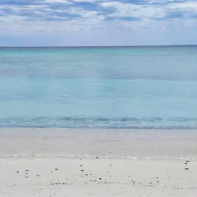 Paesaggio naturale nelle vicinanze dell'appartamento