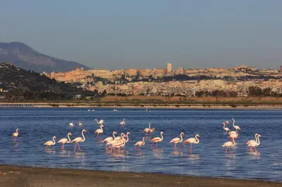 Paesaggio naturale nelle vicinanze dell'appartamento