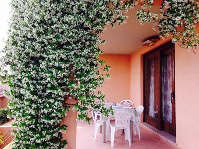 Giardino di Villa vicino al mare