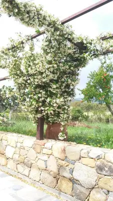 Giardino di Casale Diletta