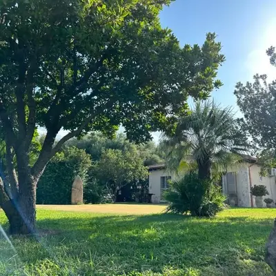 La Coccinella