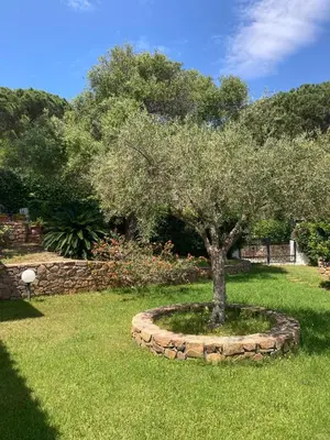 Giardino di Villa Roberta