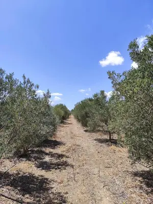Paesaggio naturale nelle vicinanze dell'appartamento