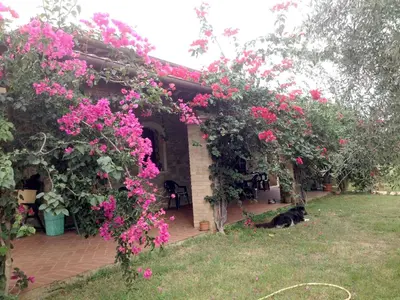 Giardino di Casa Santina
