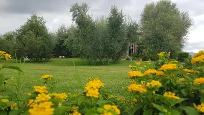 Giardino di Casa Santina