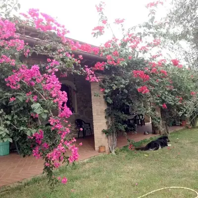 Casa Santina