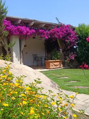 Giardino di Domu Speciosa