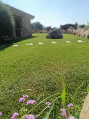 Paesaggio naturale nelle vicinanze dell'affittacamere