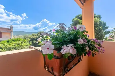Vista generica sulle montagne o vista sulle montagne dall'interno della casa vacanze