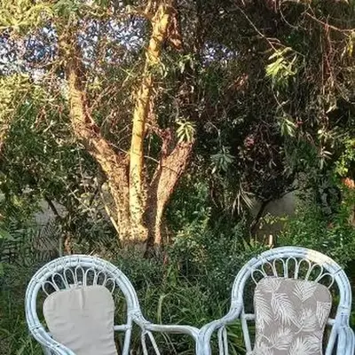 Il Giardino