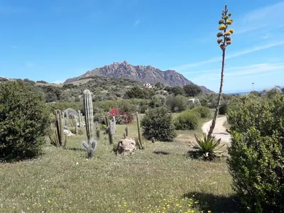 Paesaggio naturale nelle vicinanze della casa vacanze