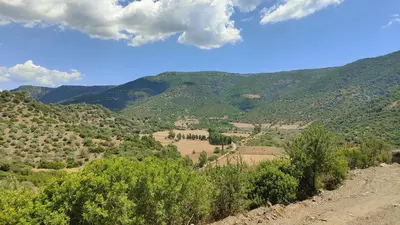 Paesaggio naturale nelle vicinanze dell'agriturismo