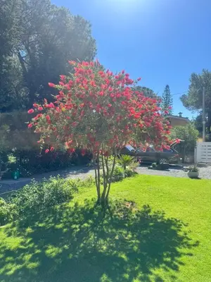 Giardino di Villa with garden 1000m to 300m from the sea in PULA