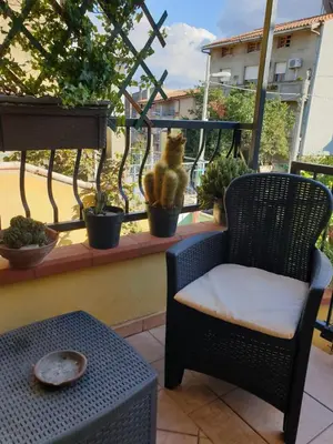 Balcone o terrazza di B&B Annalu'