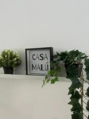 Certificato, attestato, insegna o altro documento esposto da Casa Malu'