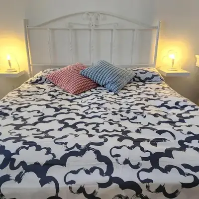 Le Coccinelle