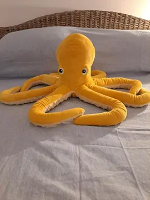 Planimetria di My Octopus House