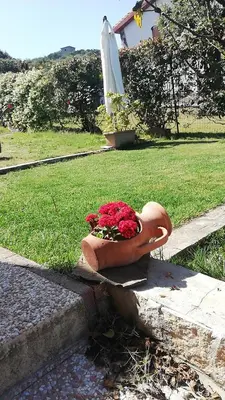 Giardino di Villino Veronica