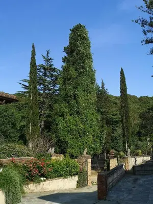 Paesaggio naturale nelle vicinanze dell'affittacamere