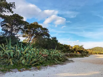 Paesaggio naturale nelle vicinanze della casa vacanze