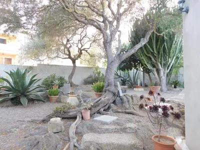 Giardino di Casa Diana