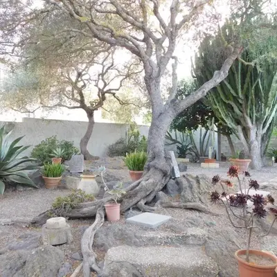 Casa Diana
