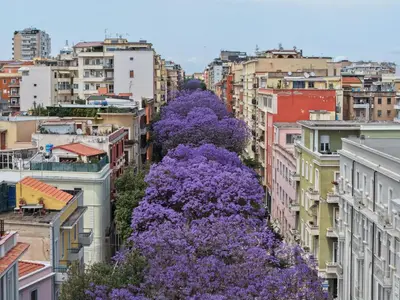 Vista generica su Cagliari o vista sulla città dall'interno dell'appartamento