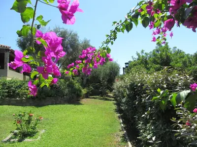 Planimetria di Holiday Home Casa Dany mit geschlossenem Garten by Interhome