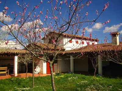 Giardino di Holiday Home Natur- ökologische Nachhaltigkeit- nur für Erwachsene- Meer in der Nähe by Interhome