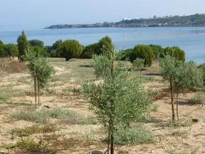 Paesaggio naturale nelle vicinanze dell'appartamento